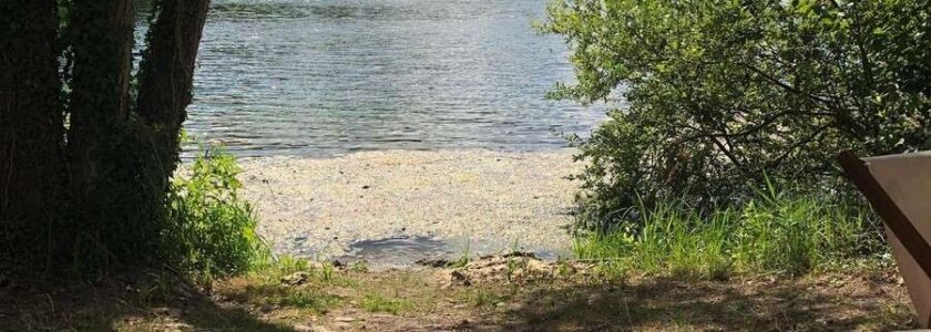 KW32 – 2026 – Seefest am Prestelsee in Neudorf